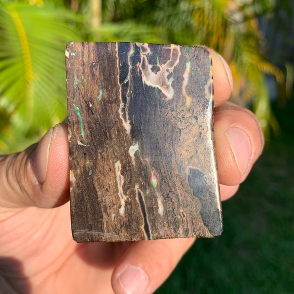 Precious conk opal - Picture 6 of 7